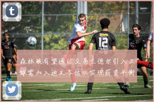 森林狼有望通过交易兰德尔引入三球需加入迪文岑佐以实现薪资平衡