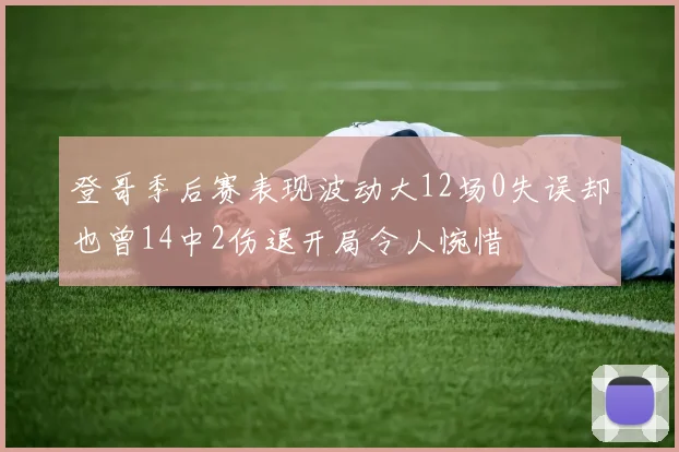 登哥季后赛表现波动大12场0失误却也曾14中2伤退开局令人惋惜