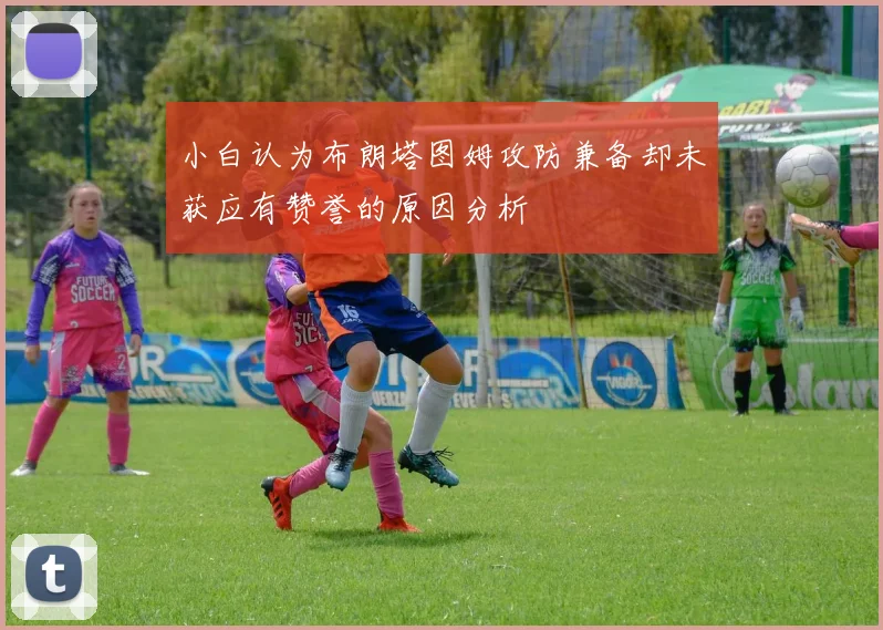 小白认为布朗塔图姆攻防兼备却未获应有赞誉的原因分析